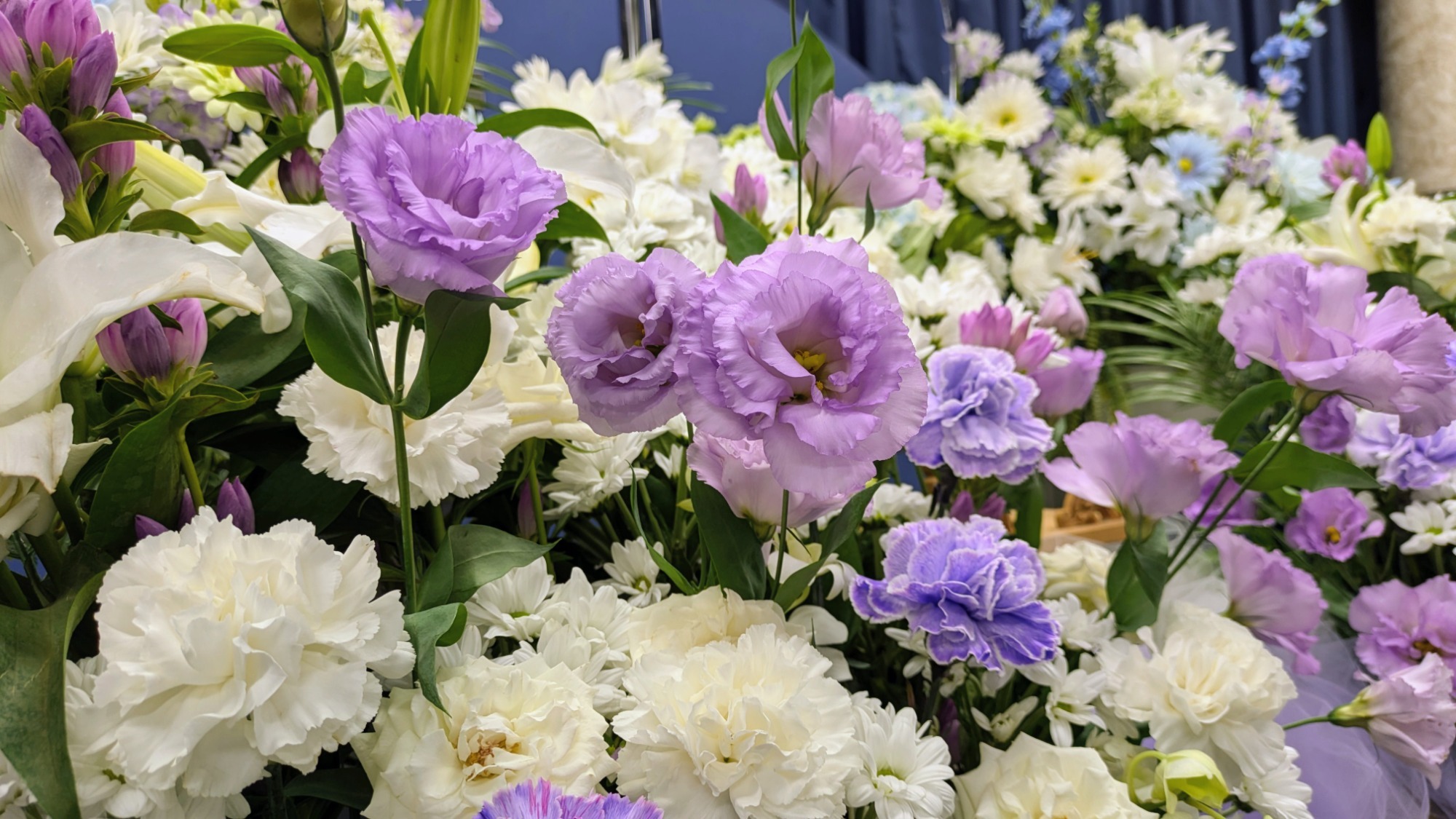 火葬式・青空 直葬プラン